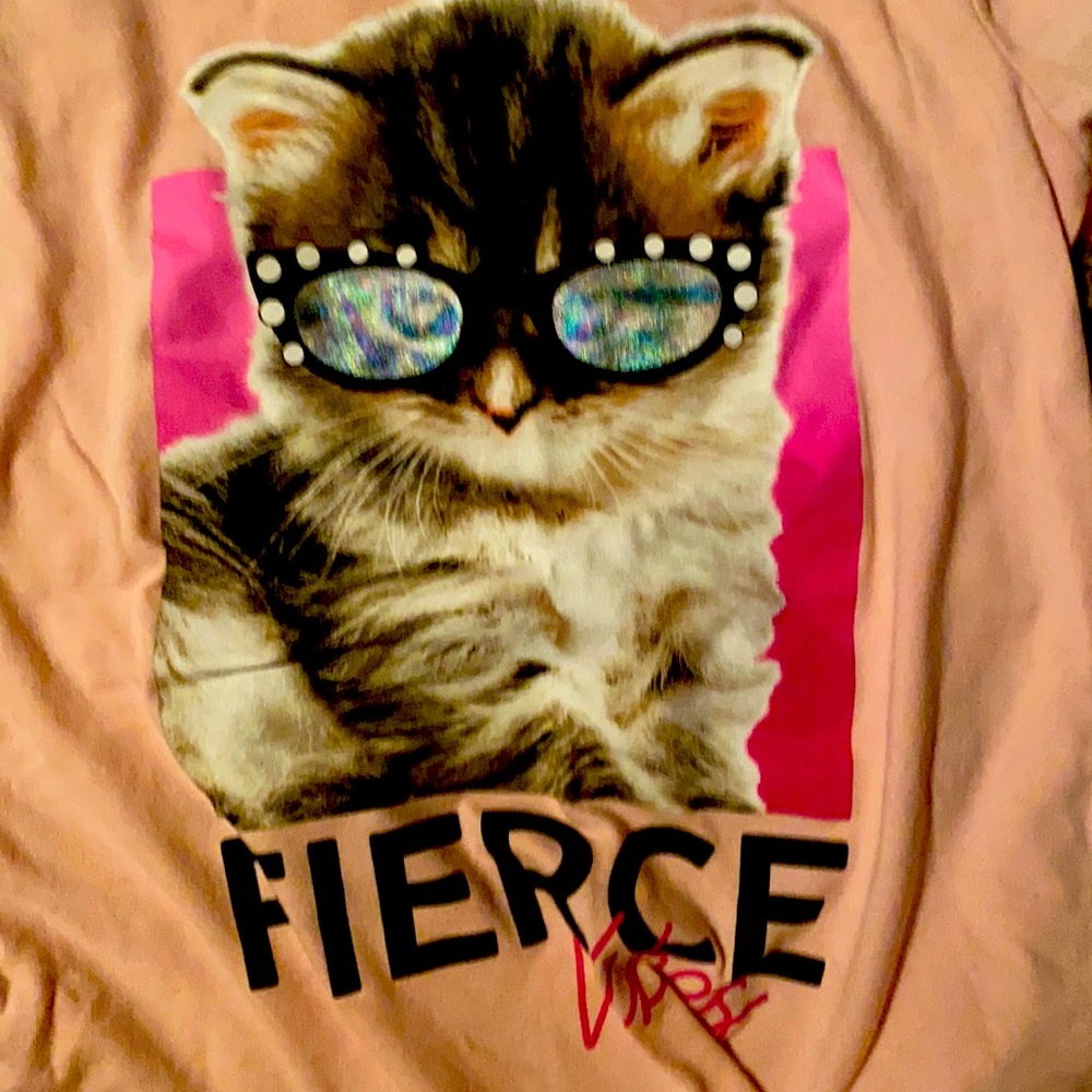 Fierce Cat